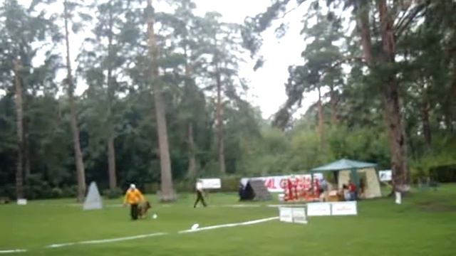 Выставка Немецкой Овчарки в Тольятти-1 смотреть онлайн