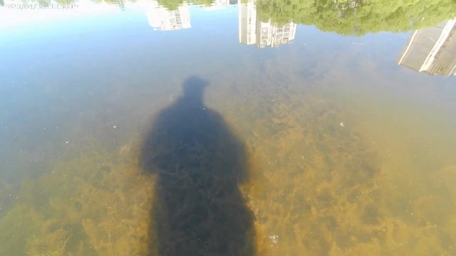 Ловля золотого карася в нерест. смотреть онлайн