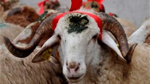 Азербайджанский праздник Курбан-Байрам