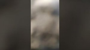 СМАЗКА ПРИЦЕПА