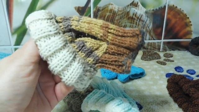 ПРОДАЮ вязаные ШАПОЧКИ для чихуа / КАК правильно СНЯТЬ МЕРКИ ? Одежда для собак/ ПРИКУС у Яны НОРМА