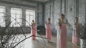 Classical chinese dance / Классический китайский танец