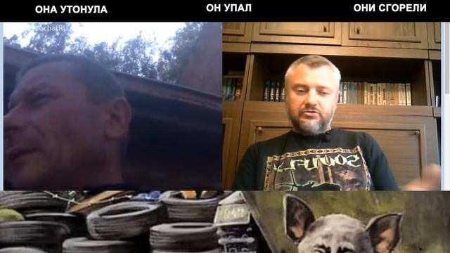 Современный коллаборационист