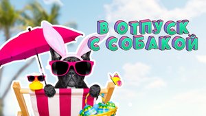 ОТПУСК С СОБАКОЙ | НА МОРЕ С СОБАКОЙ