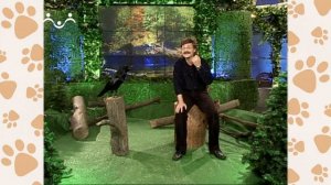 Лапы, крылья и хвосты. 24-й Выпуск. Умные животные