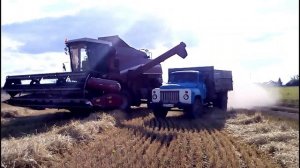 Уборка пшеницы ( Кзс-7 Палессе ) [2018]