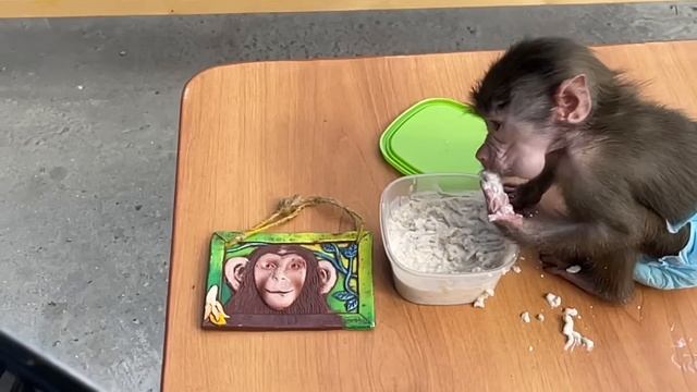 ПОДАРОК для обезьянки ЛЮСИ от ДЕТЕЙ ДОНБАССА! смотреть онлайн