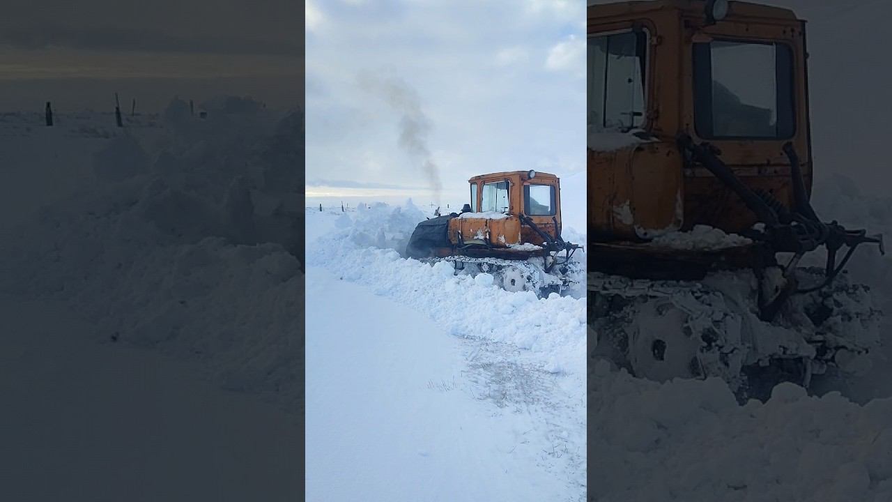 ДТ-75 Почтальон! смотреть онлайн