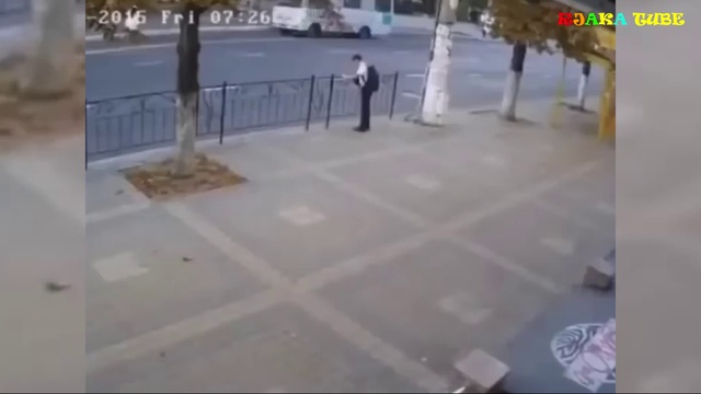 ПРИКОЛЫ с людьми и животными. Смешная нарезка. #3 смотреть онлайн