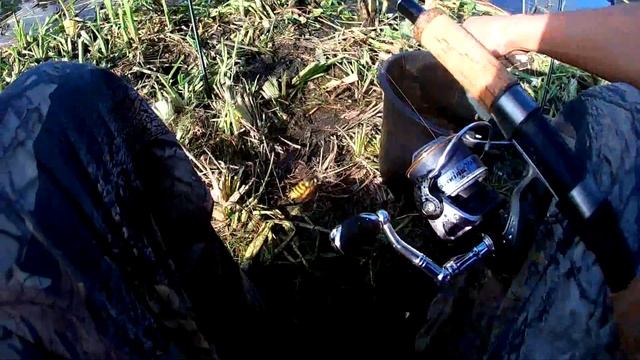Карп на поплавочную удочку и фидер. Отличная рыбалка. Бешеный клев! (LiveFishing) смотреть онлайн