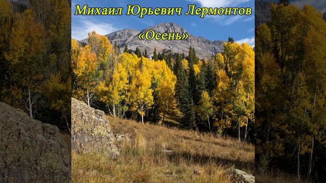 Осень - Листья в поле пожелтели - Лермонтов М. Ю. #shorts смотреть онлайн