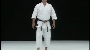 Лучшие техники каратэ шотокан от Рюдзи Сугита. Ч 4.