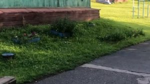 Инголь озеро