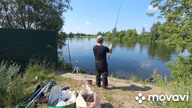 Канал в Жостово залив плотва #каналименимосквы #рыбалка #рыбалкавподмосковье #густера #лещ