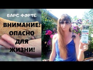 Барс Форте ОПАСНО ДЛЯ ЖИЗНИ питомца. Жизнь в деревне.