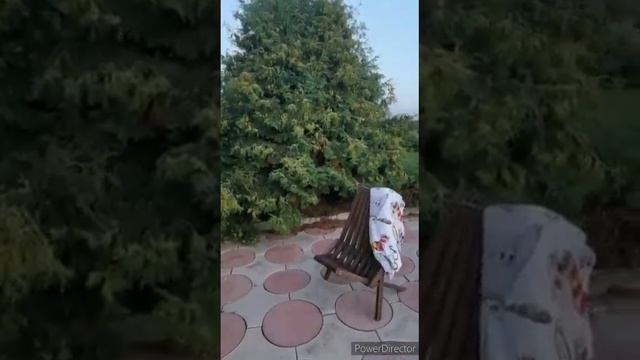 Мебель ручной работы DIY ,  кресло Кентукки