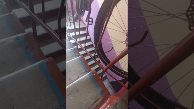 Хранение велосипеда в подьезде