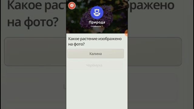 Отвечаем на вопросы. Серия 5. Новая категория Наука. Игра Викторина. смотреть онлайн