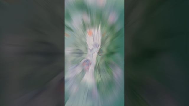 Медуза Горгона🪼