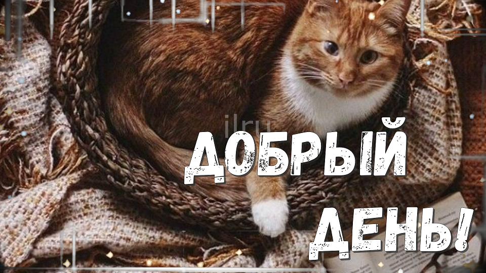 Хорошего дня! Музыкальная открытка хорошего дня