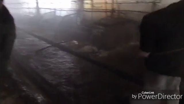 000. 667676 технологии смотреть онлайн