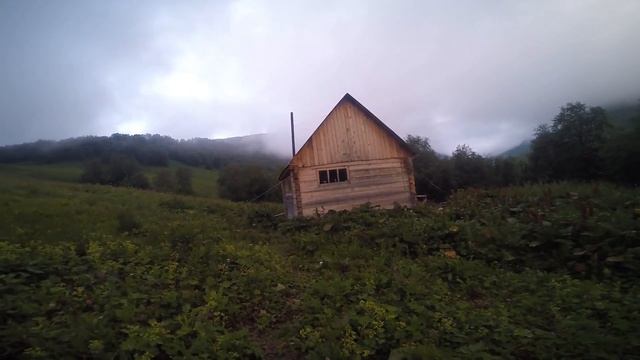 Учет животных в Кавказском заповеднике. Июль 2017. Часть 3. смотреть онлайн