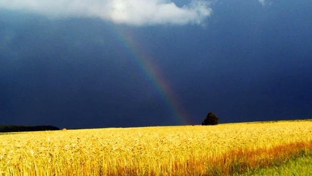 Станица Архонская