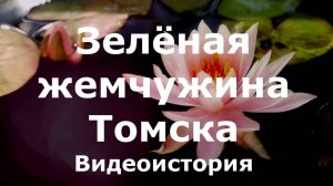 Видеоистория о Ботаническом саде «Зеленая жемчужина Томска» (0+)