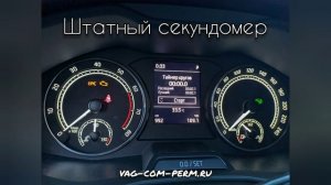 13 скрытых функций для нового Skoda Rapid 2020 (активация без последствий для гарантии в Перми) ?