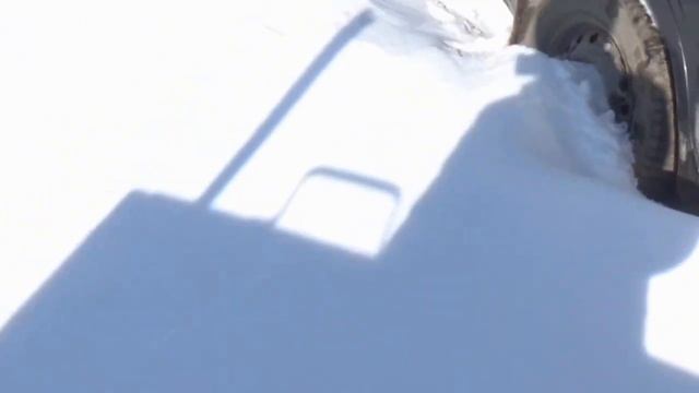 Жизнь после природного коллапса