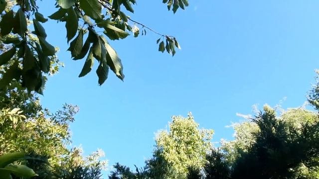 Николаев сегодня. Что делать людям в Николаевской области чьё жильё разрушено или повреждено?