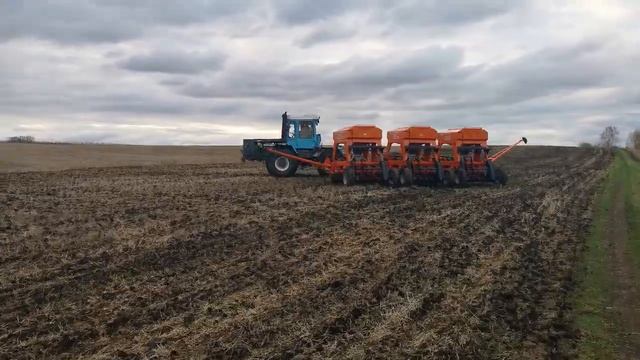 Татарстан ранний посев редьки 29 апреля 2022г.. смотреть онлайн