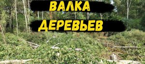 #5 Купил заброшенный участок для будущего дома/ ВАЛКА деревьев от ПРО/ 2022