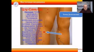 Точка Жизни Цзу Сань Ли E36