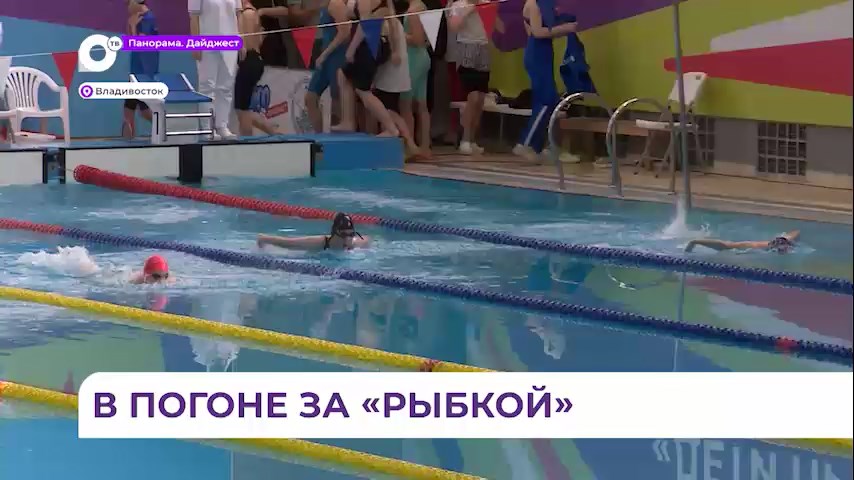Соревнования по плаванию «Золотая рыбка» прошли во Владивостоке