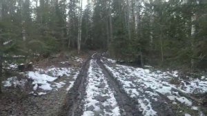 Охота на зайца с ЛАЙКАМИ 2020//Булька  Гроза зайцев в деле