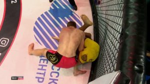 Владимир Минеев новый бой против Диего Диаса - VLADIMIR MINEEV vs DIEGO DIAS