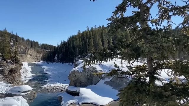 Во время свадьбы отец невесты позвонил из тюрьмы. Но едва он увидел лицо жениха - закричал! смотреть онлайн