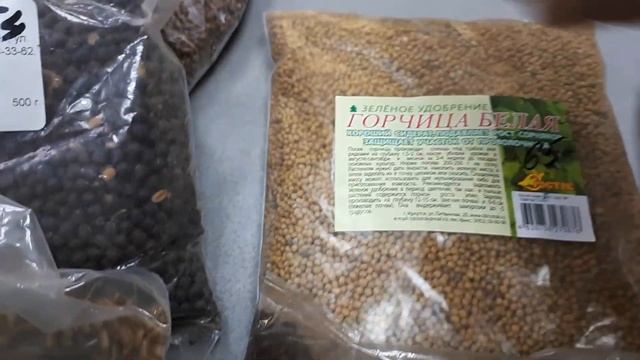 Как и зачем сеять сидераты?