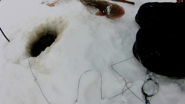 Проверка удочек 6 день Телефон зло смотреть онлайн