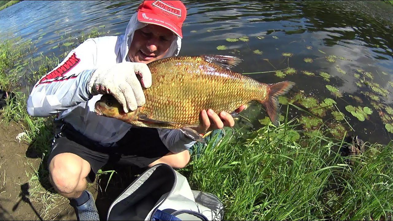 НЕБОЛЬШАЯ РЕКА КИШИТ ОГРОМНЫМИ ЛЕЩАМИ! ЛЕЩИ КЛЮЮТ ОДИН ЗА ОДНИМ!РЫБАЛКА С НОЧЁВКОЙ НА ЛЁЩА НА ДОНКИ! смотреть онлайн