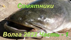 Сомятники: р. Волга 2022. Часть 1.