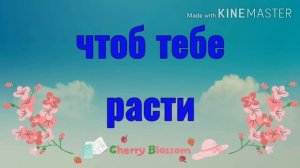 песня "Библию читай каждый день"