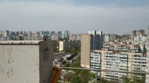 Без тормозов! Ремонтируем тормоз башенного крана.