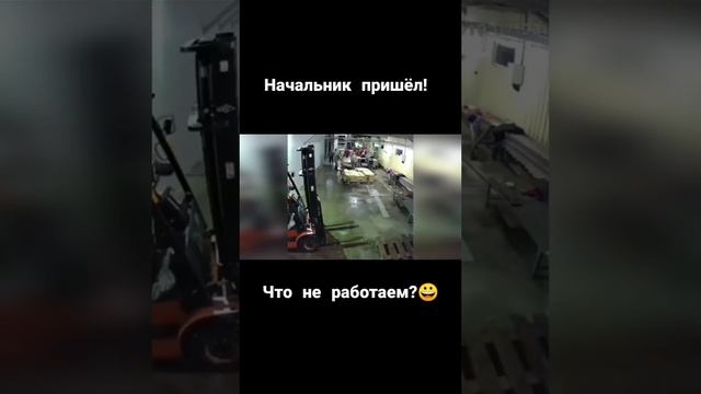 Начальник на работе