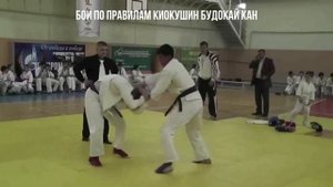 Бои по правилам Киокушин Будокай