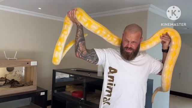 Reticulated Python setup