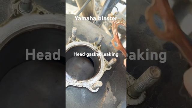 Yamaha blaster (repair)