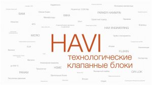 Технологические клапанные блоки HAVI Engineering.