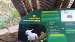 В мире животных. Сафари на острове Фукуок, Вьетнам 2020. Тигры, львы, жирафы и многое другое